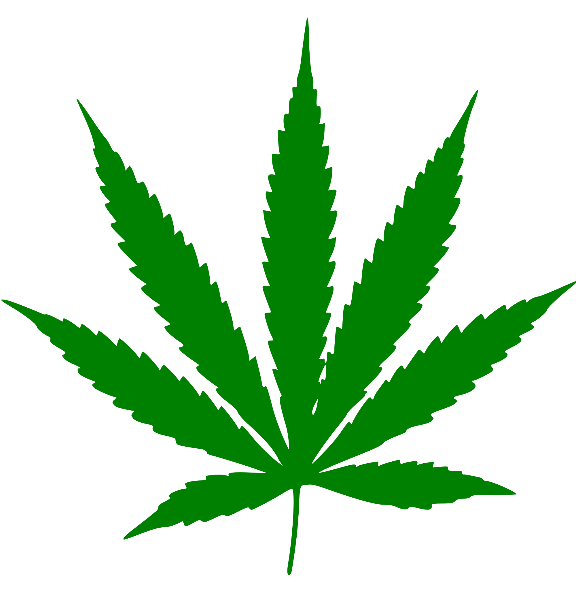 cannabis light Erboristeria Officina Verde